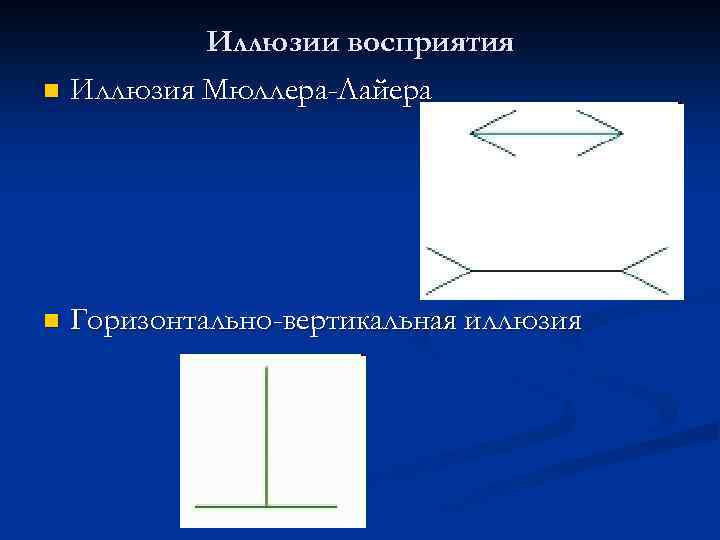 Иллюзии восприятия n Иллюзия Мюллера-Лайера n Горизонтально-вертикальная иллюзия 
