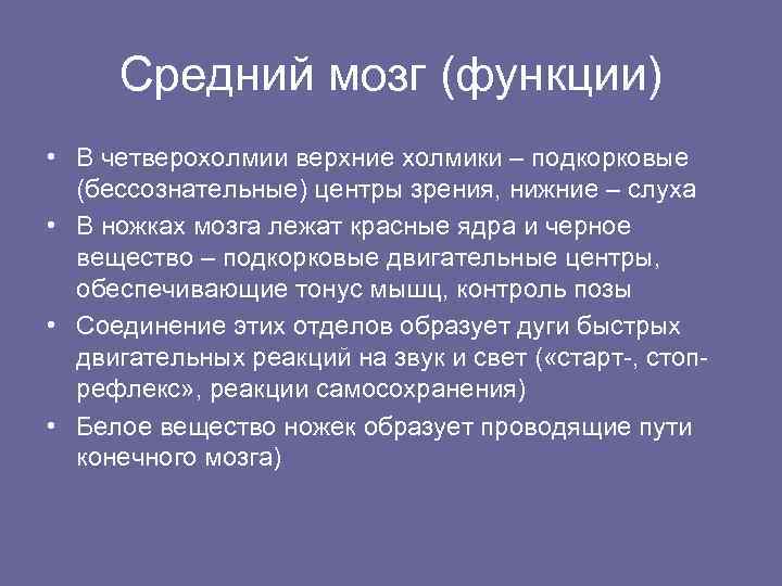 Средний мозг (функции) • В четверохолмии верхние холмики – подкорковые (бессознательные) центры зрения, нижние