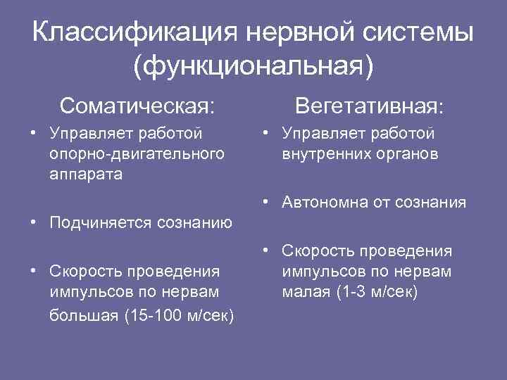 Классификация нервной системы (функциональная) Соматическая: • Управляет работой опорно-двигательного аппарата Вегетативная: • Управляет работой