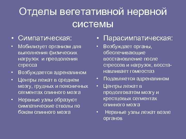 Отделы вегетативной нервной системы • Симпатическая: • Парасимпатическая: • Мобилизует организм для выполнения физических