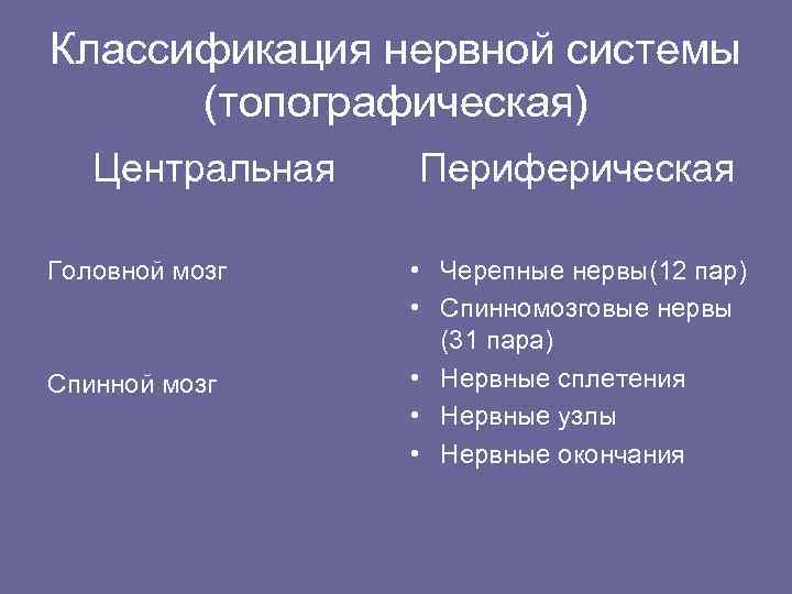 Классификация нервной системы (топографическая) Центральная Головной мозг Спинной мозг Периферическая • Черепные нервы(12 пар)