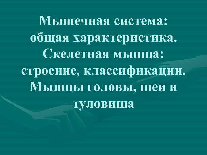 Мышечная система: общая характеристика. Скелетная мышца: строение, классификации. Мышцы головы, шеи и туловища 