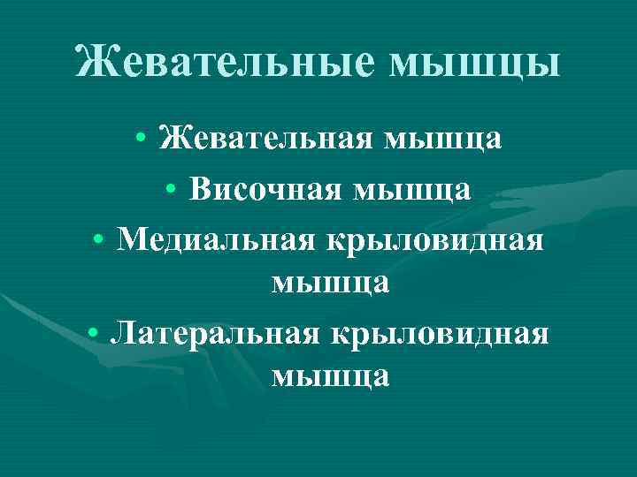 Жевательные мышцы • Жевательная мышца • Височная мышца • Медиальная крыловидная мышца • Латеральная