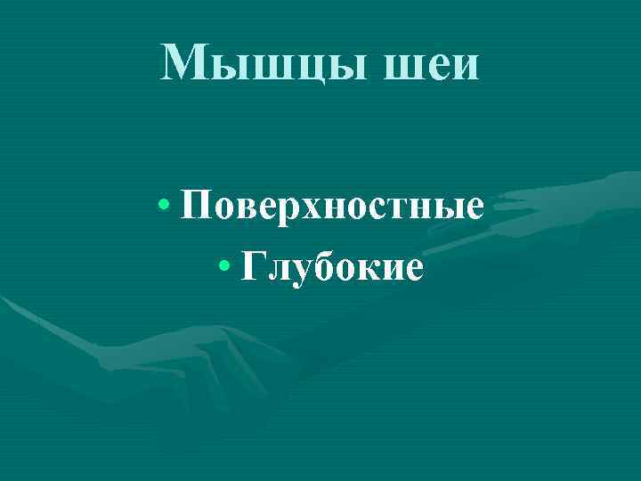 Мышцы шеи • Поверхностные • Глубокие 