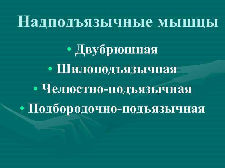 Надподъязычные мышцы • Двубрюшная • Шилоподъязычная • Челюстно-подъязычная • Подбородочно-подъязычная 