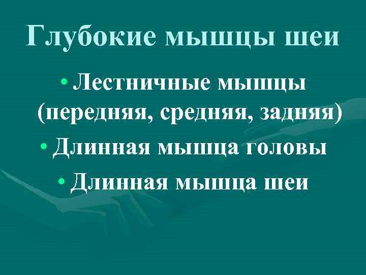 Глубокие мышцы шеи • Лестничные мышцы (передняя, средняя, задняя) • Длинная мышца головы •