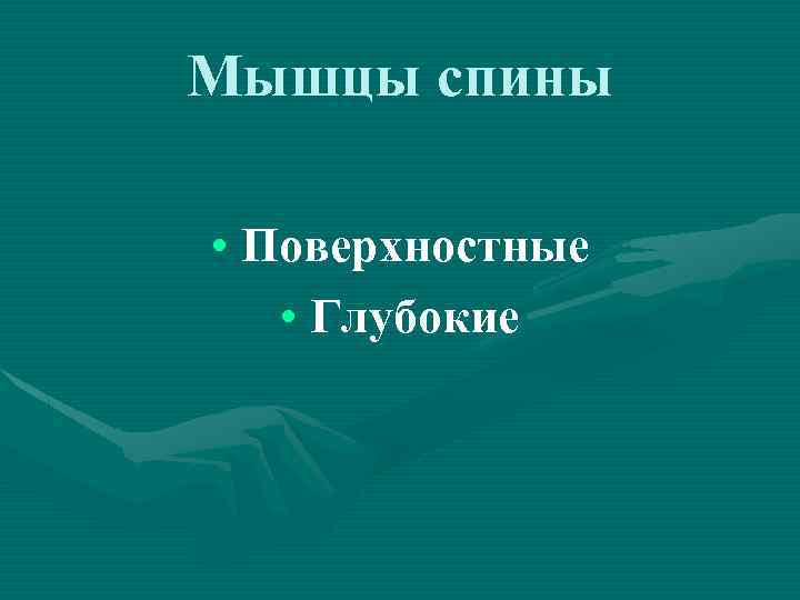 Мышцы спины • Поверхностные • Глубокие 