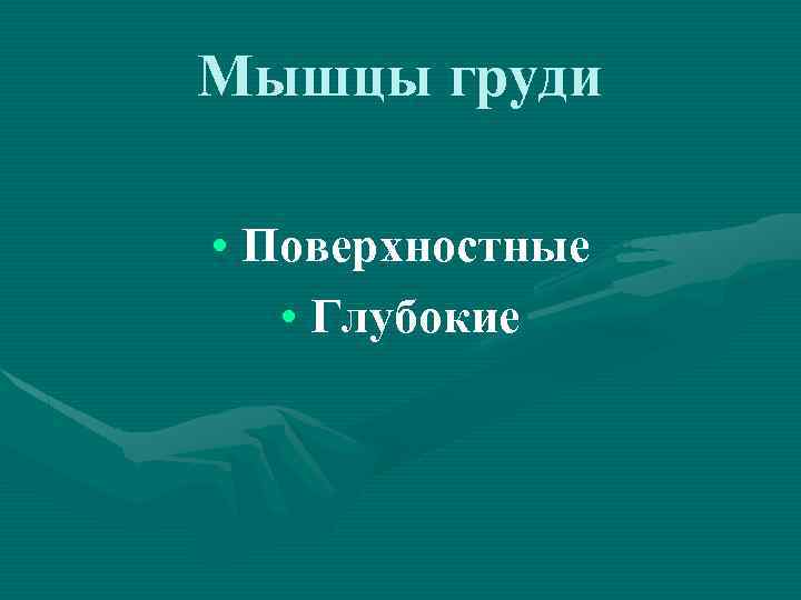 Мышцы груди • Поверхностные • Глубокие 