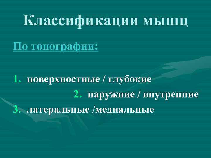 Классификации мышц По топографии: 1. поверхностные / глубокие 2. наружние / внутренние 3. латеральные