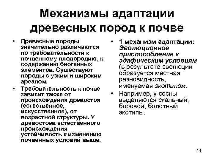  Механизмы адаптации древесных пород к почве • Древесные породы  • 1 механизм