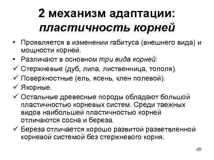   2 механизм адаптации:   пластичность корней • Проявляется в изменении габитуса
