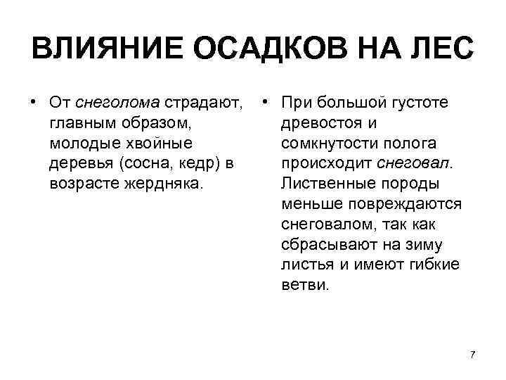 ВЛИЯНИЕ ОСАДКОВ НА ЛЕС • От снеголома страдают, • При большой густоте  главным