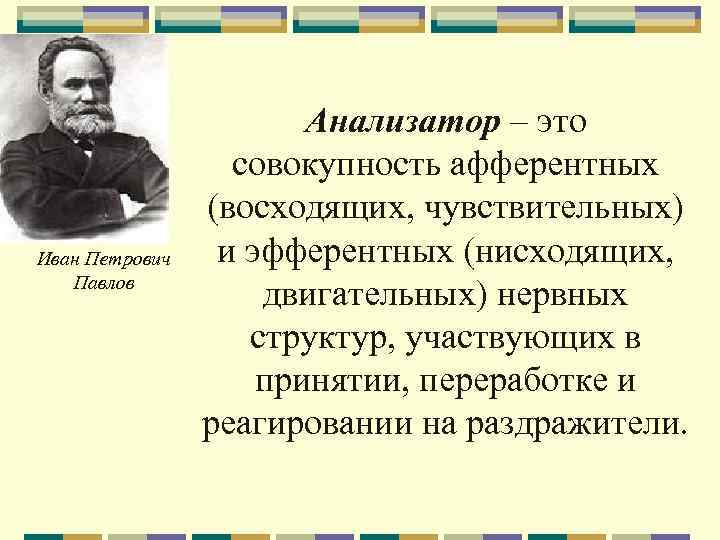 Иван Петрович Павлов Анализатор – это совокупность афферентных (восходящих, чувствительных) и эфферентных (нисходящих, двигательных)