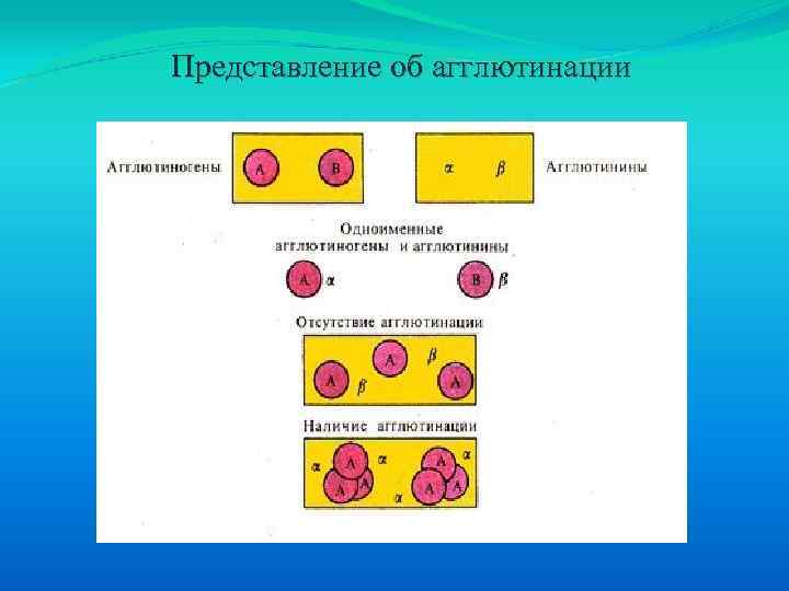 Представление об агглютинации 