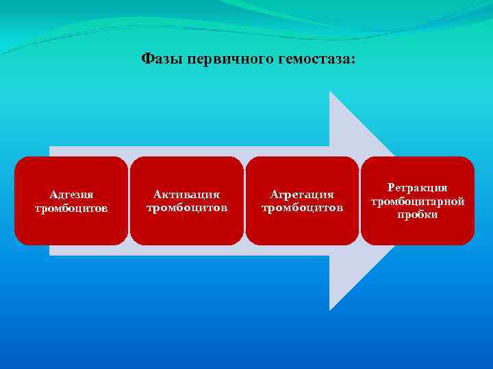  Фазы первичного гемостаза: Ретракция Адгезия Активация Агрегация тромбоцитарной тромбоцитов пробки 