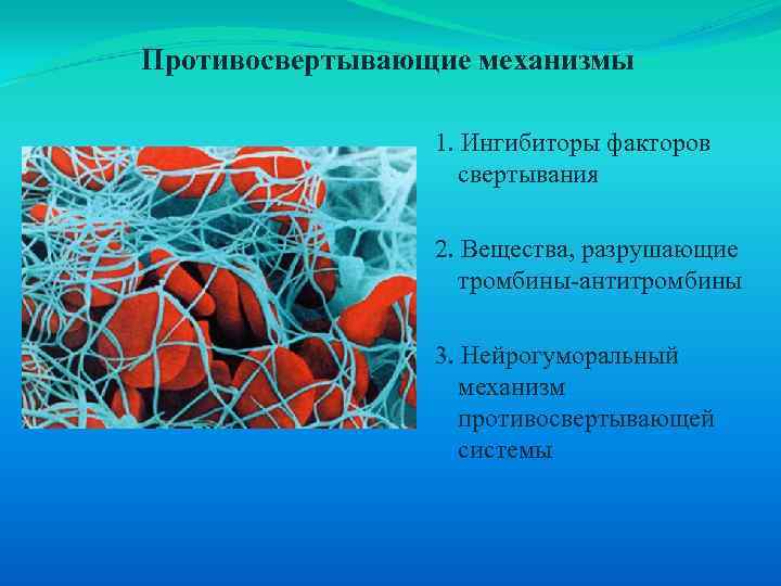 Противосвертывающие механизмы 1. Ингибиторы факторов свертывания 2. Вещества, разрушающие тромбины-антитромбины 3. Нейрогуморальный механизм противосвертывающей