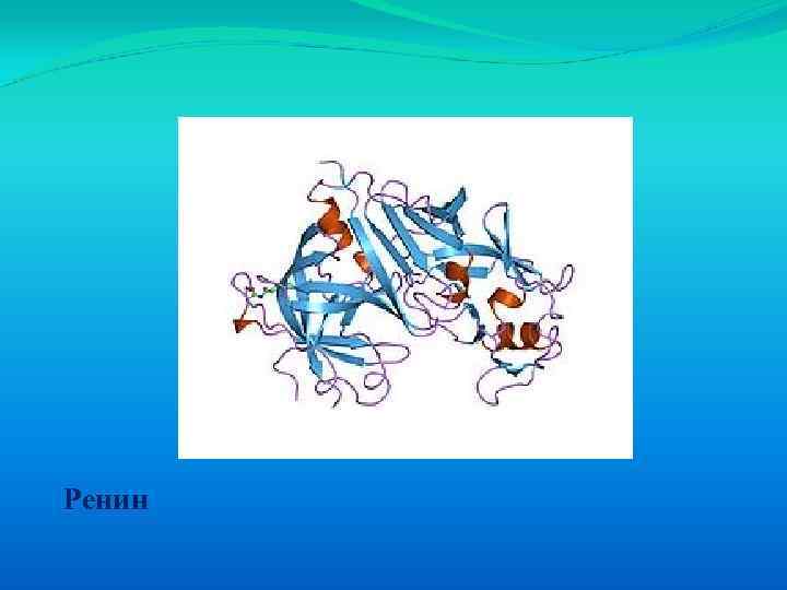 Ренин 