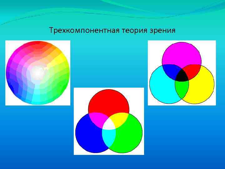 Теории зрения. Трехкомпонентная теория цветового зрения (теория Юнга—Гельмгольца). Теория Юнга Гельмгольца. Трехкомпонентная теория Юнга Ломоносова Гельмгольца. Теория Гельмгольца о зрении.