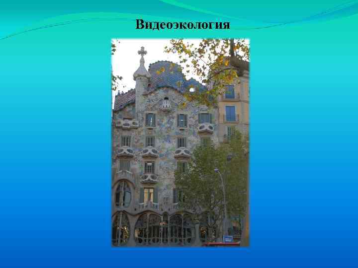 Видеоэкология 