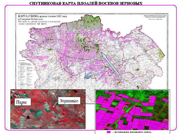СПУТНИКОВАЯ КАРТА ПЛОАДЕЙ ПОСЕВОВ ЗЕРНОВЫХ Пары Зерновые 