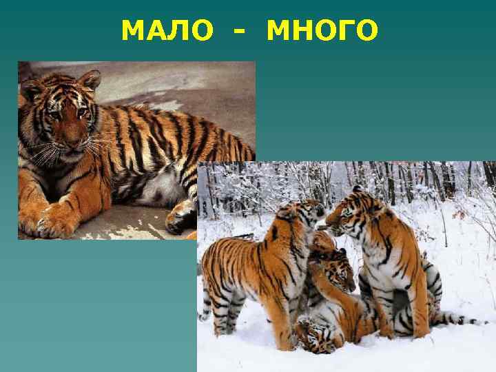 МАЛО - МНОГО 