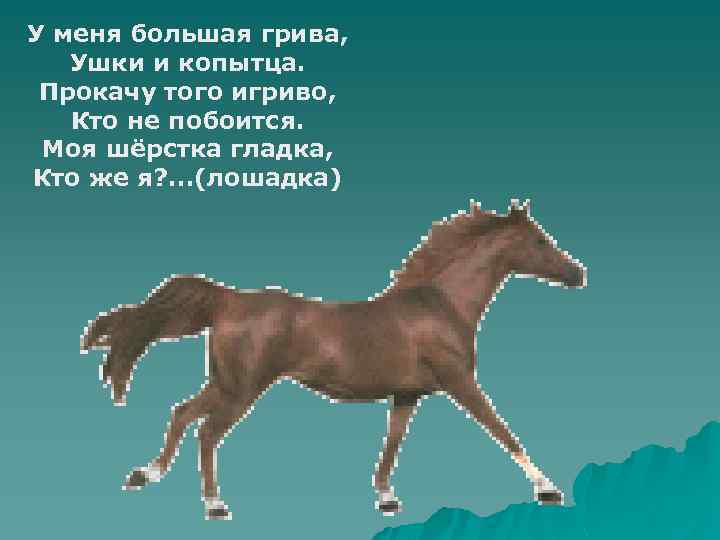 У меня большая грива, Ушки и копытца. Прокачу того игриво, Кто не побоится. Моя