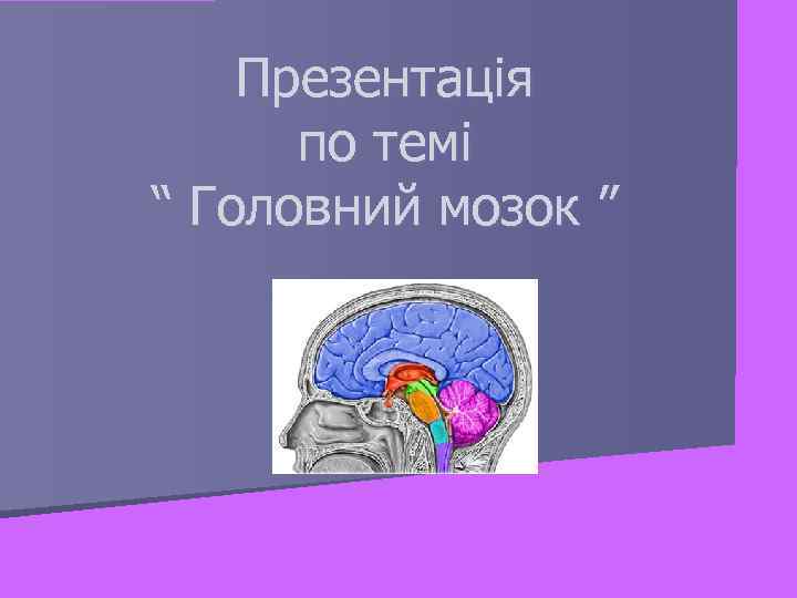  Презентація по темі “ Головний мозок ” 