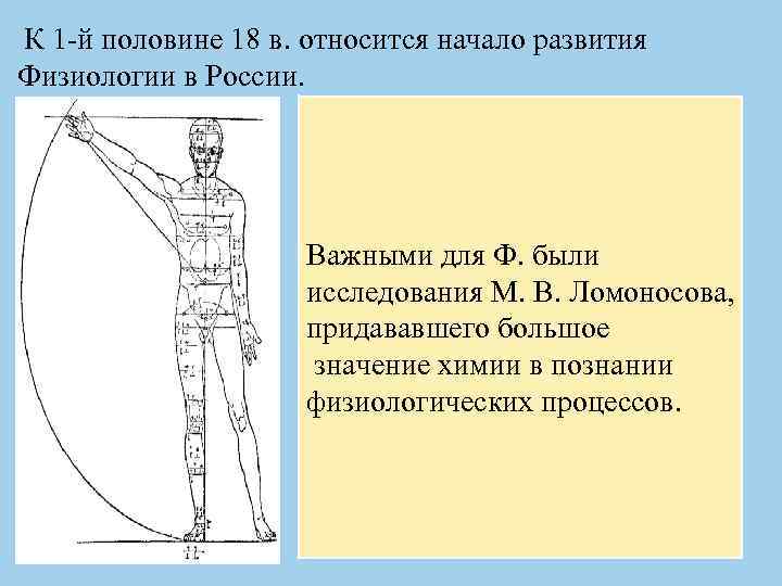 К 1 -й половине 18 в. относится начало развития Физиологии в России. Важными для