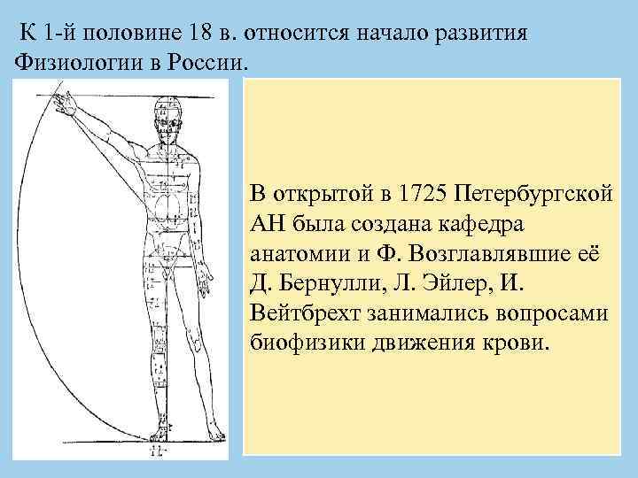 К 1 -й половине 18 в. относится начало развития Физиологии в России. В открытой