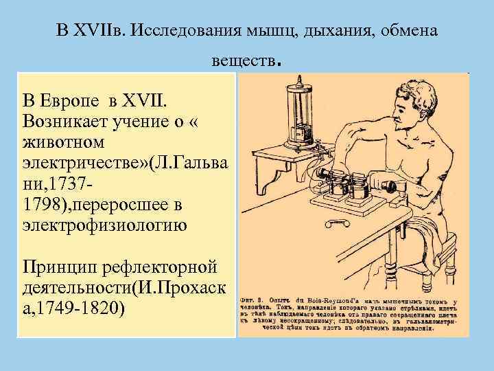 В XVIIв. Исследования мышц, дыхания, обмена веществ. В Европе в XVII. Возникает учение о