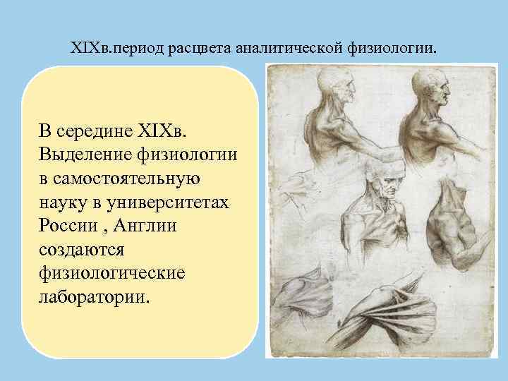 XIXв. период расцвета аналитической физиологии. В середине XIXв. Выделение физиологии в самостоятельную науку в