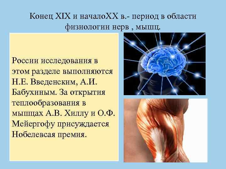 Конец XIX и начало. XX в. - период в области физиологии нерв , мышц.