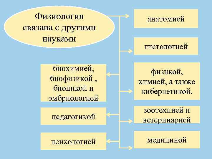 Науки связанные с человеком