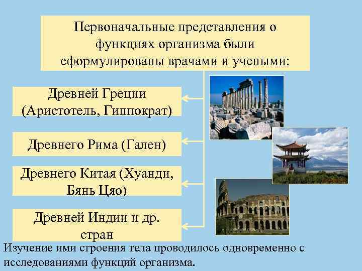 Первоначальные представления о функциях организма были сформулированы врачами и учеными: Древней Греции (Аристотель, Гиппократ)