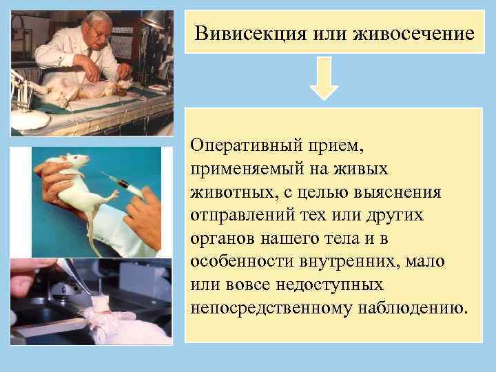 Вивисекция или живосечение Оперативный прием, применяемый на живых животных, с целью выяснения отправлений тех
