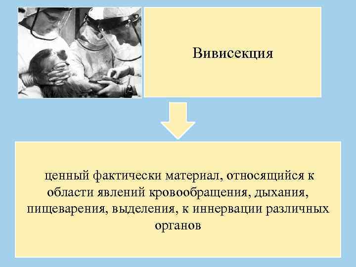 Вивисекция ценный фактически материал, относящийся к области явлений кровообращения, дыхания, пищеварения, выделения, к иннервации