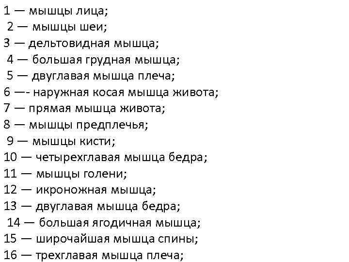 1 — мышцы лица; 2 — мышцы шеи; 3 — дельтовидная мышца; 4 —