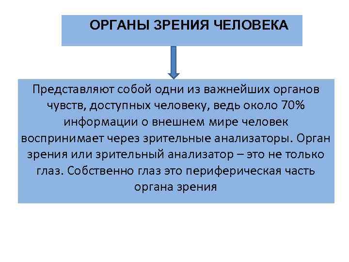 ОРГАНЫ ЗРЕНИЯ ЧЕЛОВЕКА Представляют собой одни из важнейших органов чувств, доступных человеку, ведь около