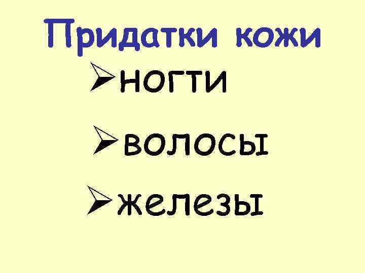 Придатки кожи Øногти Øволосы Øжелезы 