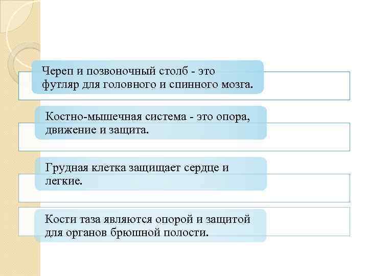 Череп и позвоночный столб - это футляр для головного и спинного мозга. Костно-мышечная система