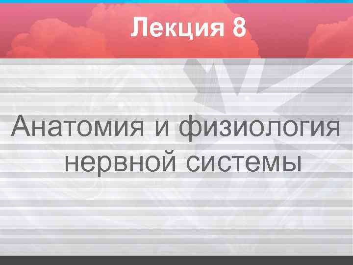  Лекция 8 Анатомия и физиология нервной системы 