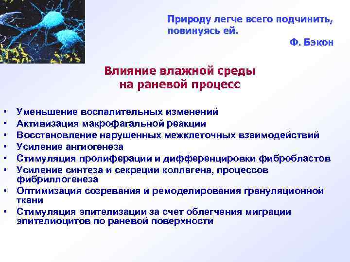 Природу легче всего подчинить, повинуясь ей. Ф. Бэкон Влияние влажной среды на раневой процесс
