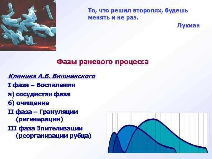 То, что решил второпях, будешь менять и не раз. Лукиан Фазы раневого процесса Клиника