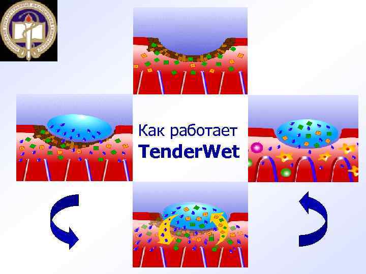 Как работает Tender. Wet 