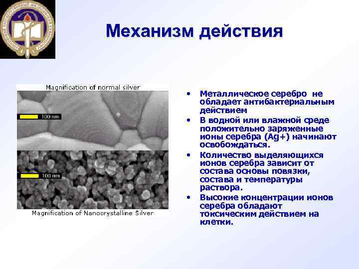 Механизм действия • • Металлическое серебро не обладает антибактериальным действием В водной или влажной