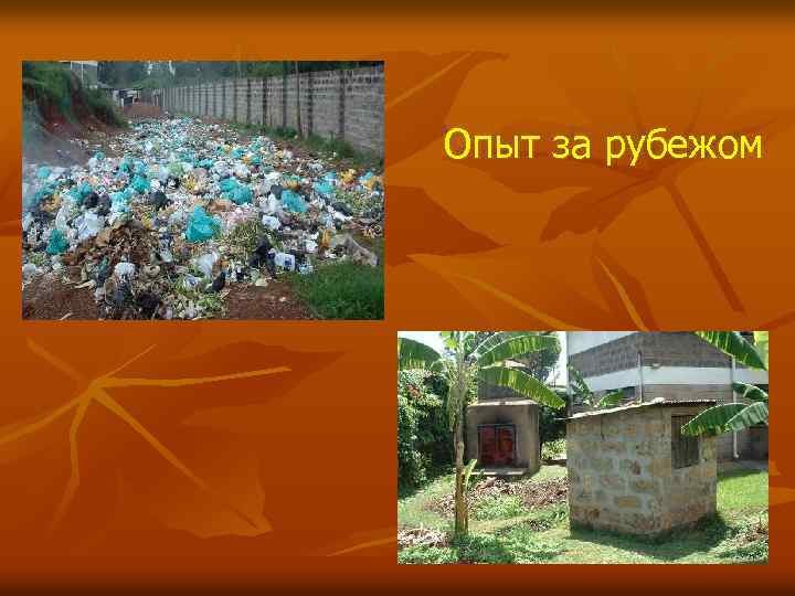 Опыт за рубежом 