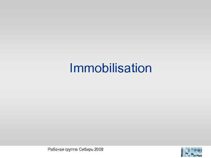 Immobilisation Рабочая группа Сибирь 2008 