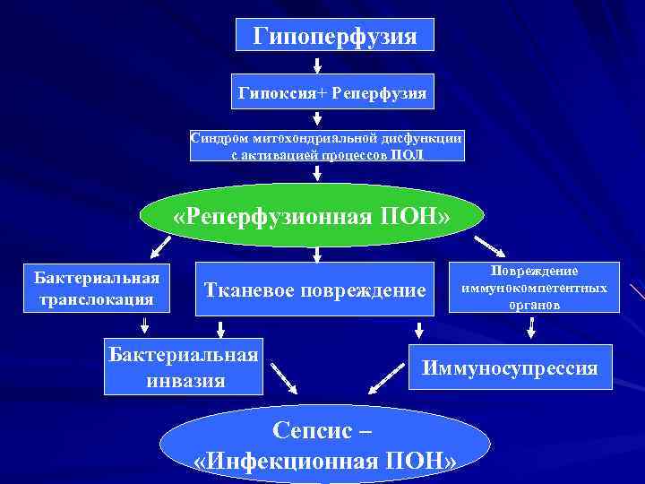 Гипоперфузия нижней стенки лж