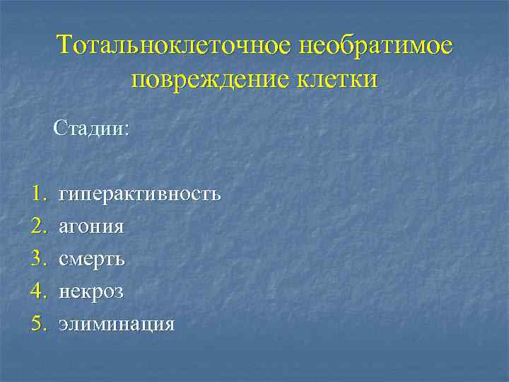 Тотальноклеточное необратимое повреждение клетки Стадии: 1. 2. 3. 4. 5. гиперактивность агония смерть некроз