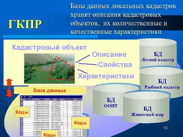 Государственные кадастры природных объектов. Характеристики базы данных. Локальные данные это. Базы данных рыбы. Локальные БД.